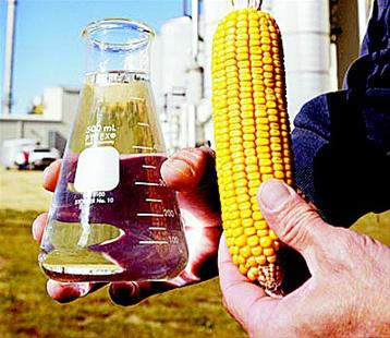 生物燃料 生物燃料