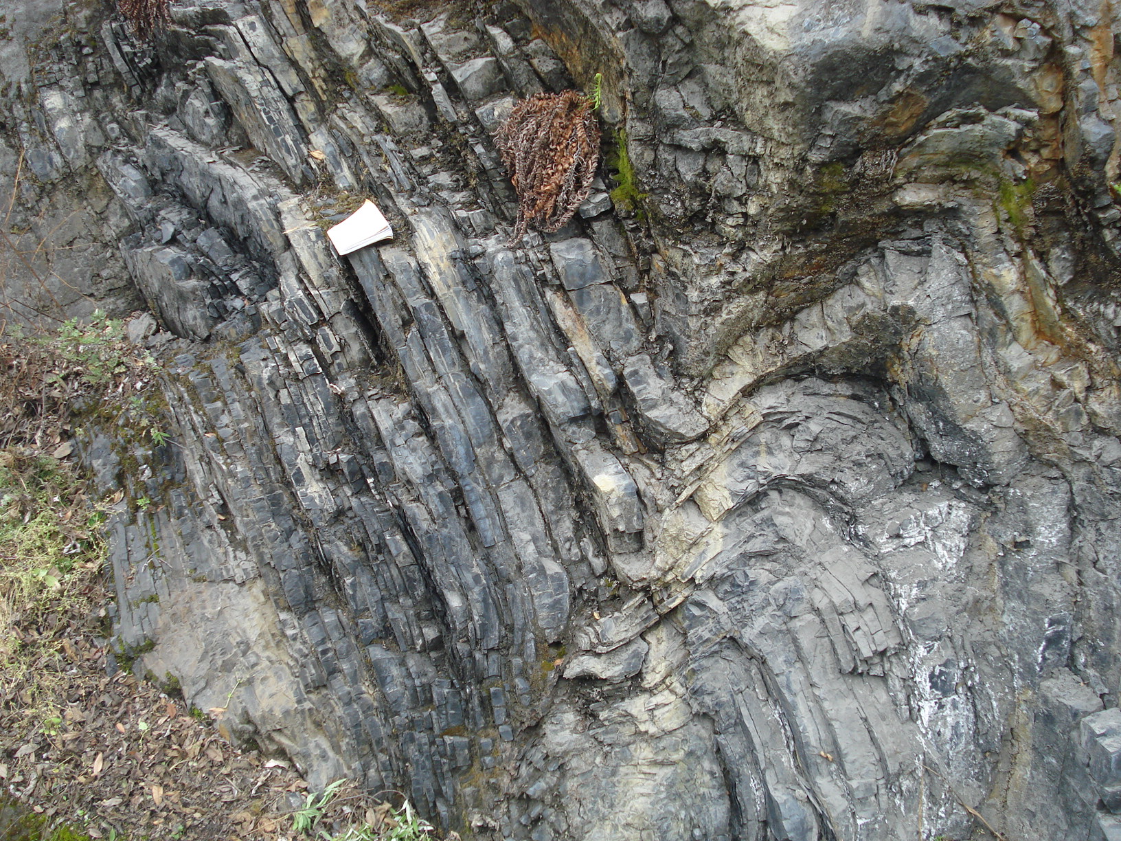 分享一些图片!(含有页岩气的页岩)